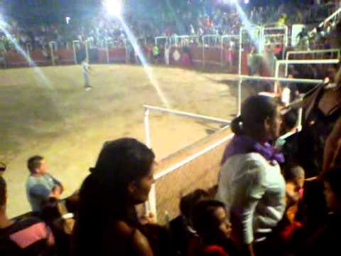 aburrimiento en la plaza de toros de aldeamayor (la parrilla)
