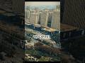 AMERICA The Prophecy Coming Soon In Theaters ‍ Cat Movie