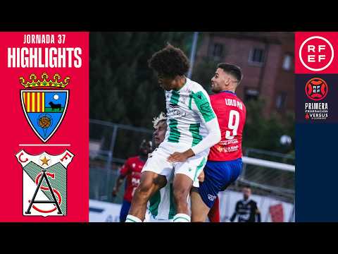 bg-highlight