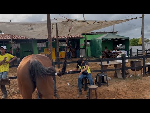 AMIGOS DE FÉ NA VAQUEJADA DO HARAS SOLAR RIBEIRA DO AMPARO, EMOÇÃO, AMIZADE E BONS NEGÓCIOS