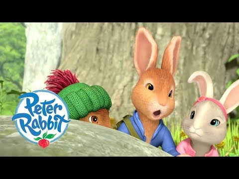 Peter Rabbit - Meeting all the Rabbits and Friends | Cartoons for Kids