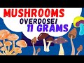 Psychedelics MDMA DMT LSD Mushrooms - overdosing - TMT Ep15