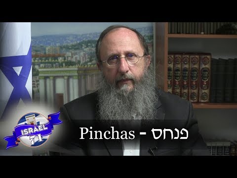 Weekly Torah Portion: Pinchas