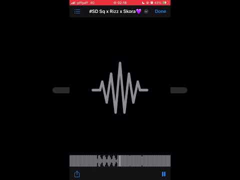 #SD Sq x Rizz x skora