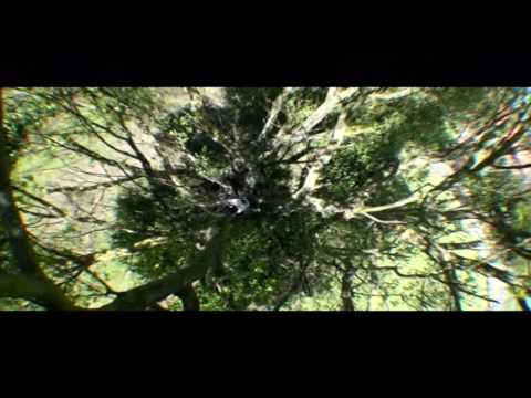 Walters & Shieff episode 1