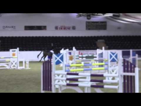 Yogi show jumping at Arena UK
