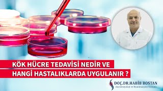 Kök Hücre Tedavisi Nedir ? Hangi Hastalıklarda Uygulanır ?