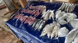 Download lagu BK & Bondol eagle food mp3