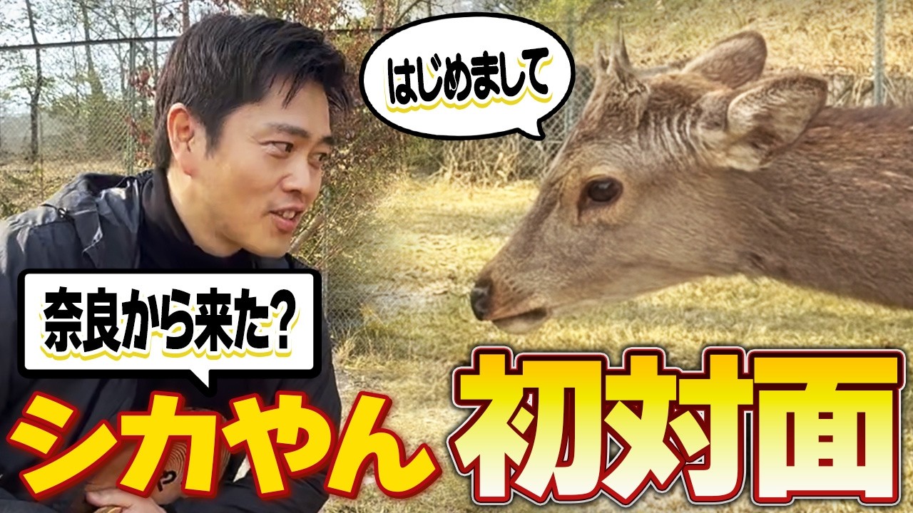 Shika-yan video 1
