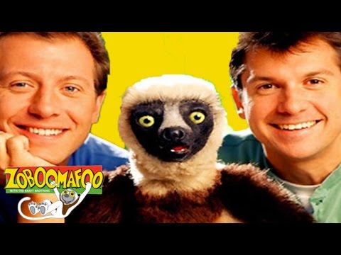 🐒 Zoboomafoo 🐒 Season | 2 HOUR Compilation | FULL EPISODES