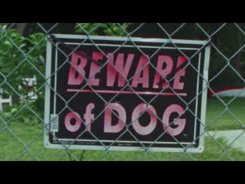 Day Ten   Guenther Oka