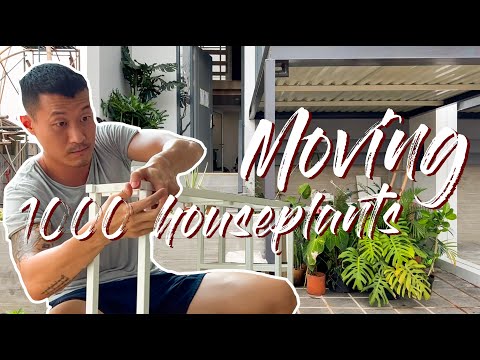 Rennovation And Moving Into A Tiny House WITH 1,000+ plants LOL