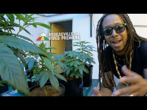 Mighty Mystic - Sweet Sensi [Official Video 2017]