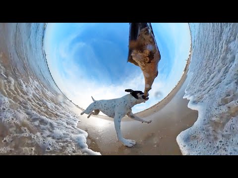NEXT LEVEL VIDEO with Insta360 ONE X2