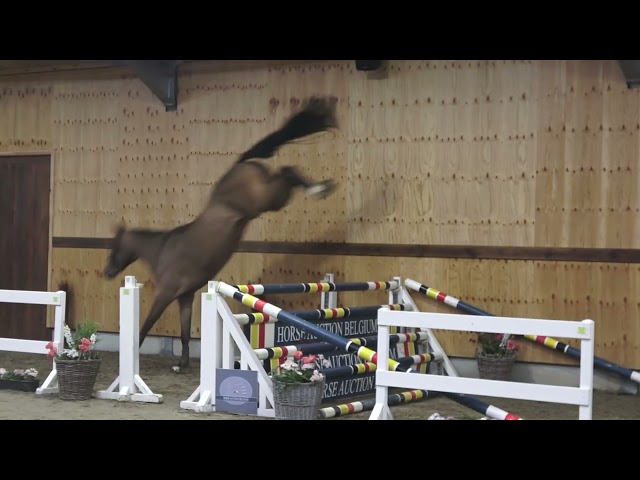 jumping