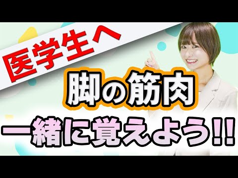 医学科 【医学生へ】解剖学を得意にしちゃおう!下肢の筋肉について