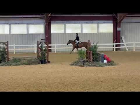 CHERRYBROOK DIANA video 5