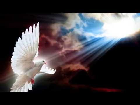 Le coeur est un oiseau