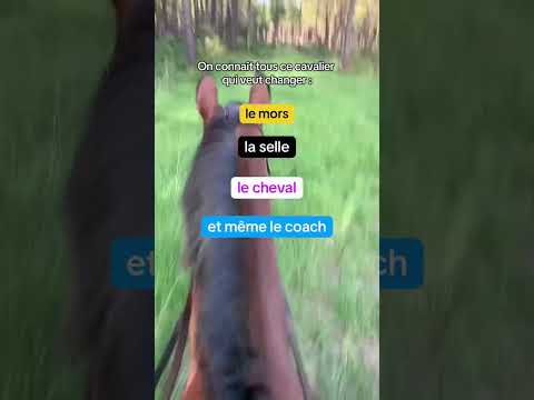 Cavalier capricieux 😅🐴 #humour #cheval #cavalier #ecurie #chevalpassion