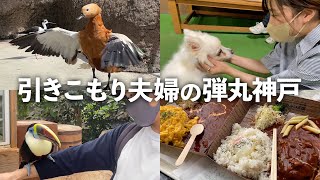 【癒し】距離が近すぎる動物園に行ったら楽しすぎた