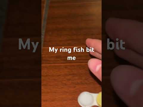 My pet ring fish bit me #edit #horror #scary #creepy #coffinfish