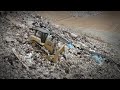 Cat D6 XE Dozer Pushing Trash Downhill in a Landfill