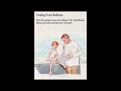 Udo Pollmer über den ganzen Gesundheitsquatsch