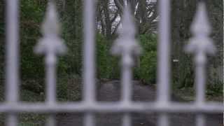 I Like Trains - The Shallows Teaser