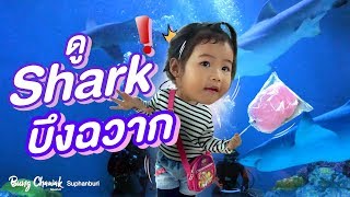 preview picture of video 'บุกโลกใต้ทะเล ดูฉลาม บึงฉวาก สุพรรณบุรี'