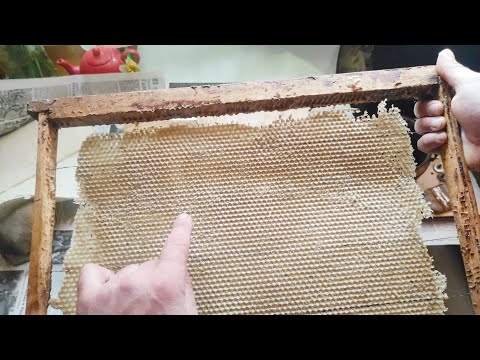 Пчеловодство. Самодельная силиконовая вощина эксперимент наващивание сразу на рамку. #вощина