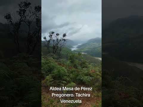 Bellezas naturales del Municipio Uribante.Tachira. Venezuela