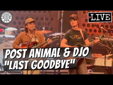 Post Animal & Djo "Last Goodbye" LIVE