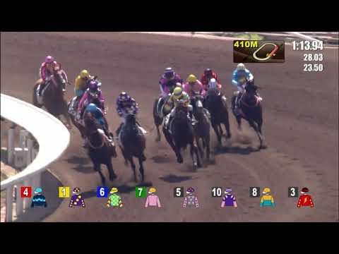 13/11/2021 (169) Solar Power - Alfred Chan