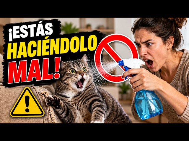 Vídeo relacionado con Primitives by Kathy de un gato lejos de ser un Crazy Cat Lady toalla de cocina