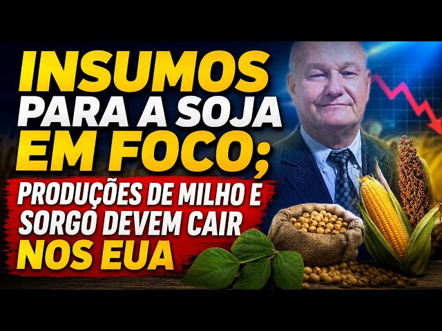 Insumos para a soja em foco; produções de milho e sorgo devem cair nos EUA.