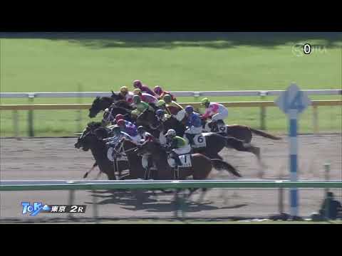 2021/10/23　スズカコテキタイ　未勝利戦