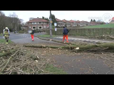 Een boom komt in Arnhem op trolleylijn terecht