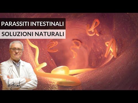 a féregből nőhet ki a has