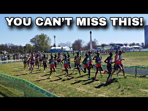 World Cross Country Championships 2026