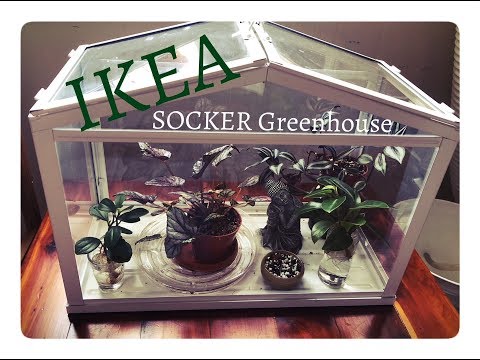 download lagu mp3 mp4 Ikea Terrarium, download lagu Ikea Terrarium gratis, unduh video klip Ikea Terrarium
