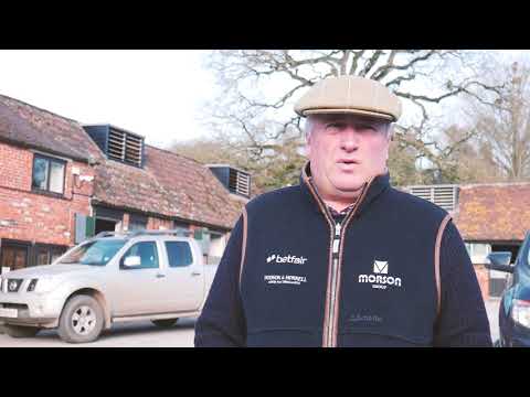 Cheltenham preview: Modus