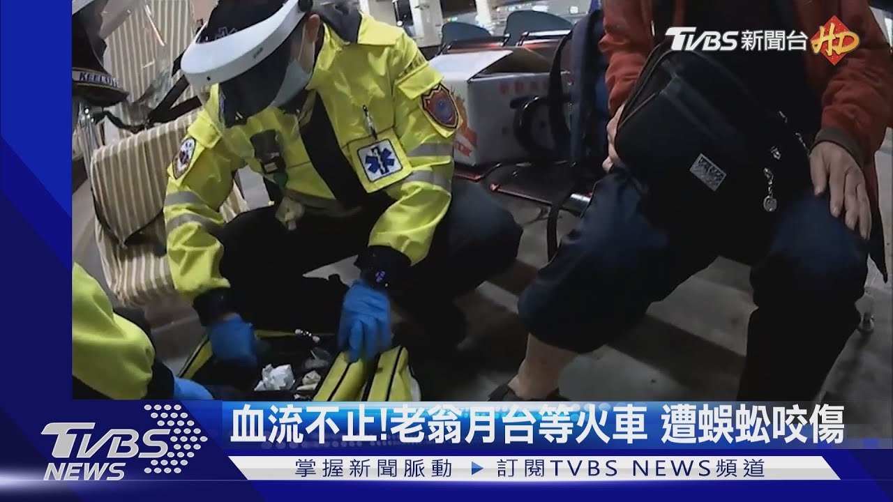 血流不止!老翁月台等火車 遭蜈蚣咬傷