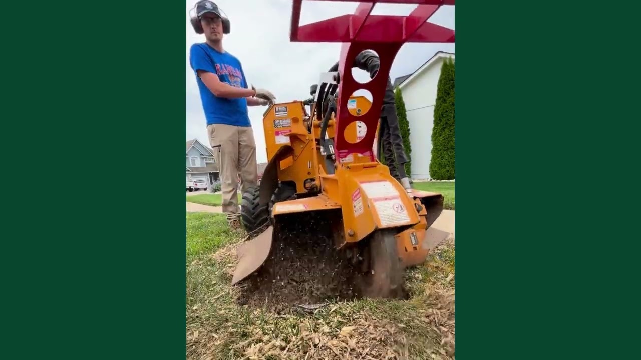Fast Liberty, Missouri Stump Removal