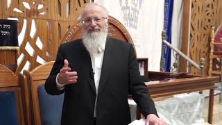 ואולך אתכם קוממיות - בקומה זקופה | הרב שמואל אליהו | הלכה יומית | כ"א אייר תשפ"ד (הרב שמואל אליהו) - התמונה מוצגת ישירות מתוך אתר האינטרנט יוטיוב. זכויות היוצרים בתמונה שייכות ליוצרה. קישור קרדיט למקור התוכן נמצא בתוך דף הסרטון