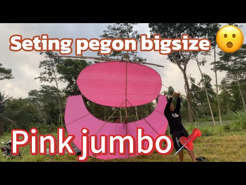 PEGON PINK 4.6 METER MENGUDARA 📌 #kite #layangantanggalan #layanganbesar 