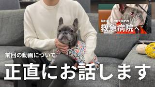 愛犬が他の犬に襲われた動画について、いただいたご意見も含めて正直にお話しします。
