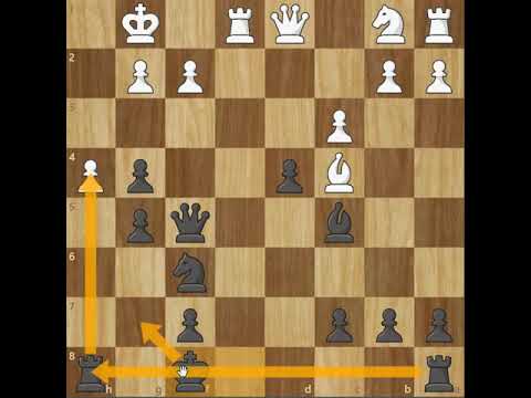 Serafino Dubois vs Wilhelm Steinitz