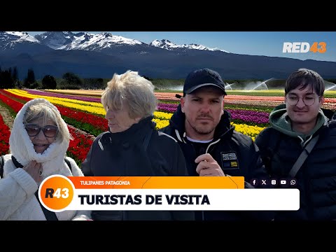 TURISTAS DE VISITA