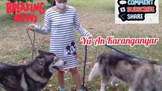 Download lagu Luluk Darara - Semua berlalu SKA koplo (  music Vidio ) _ Pemandangan Karanganyar mp3