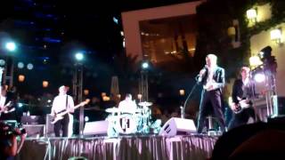 the hives- wait a minute now- the cosmopolitan